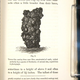Illustration for article titled The book about earthworms that took Charles Darwin 44 years to write